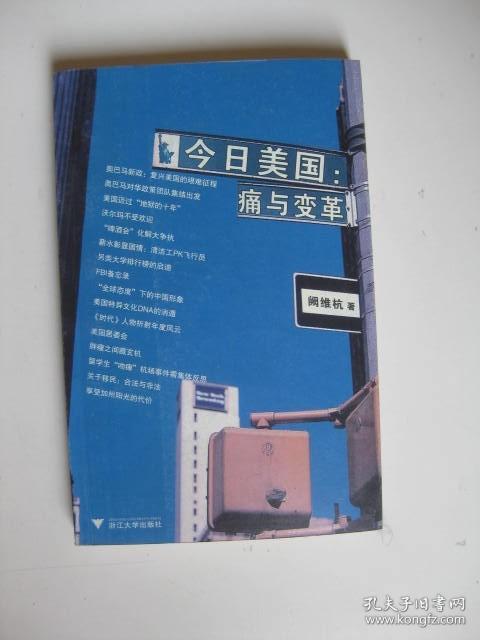 今日美国：痛与变革