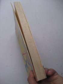 数学的机智