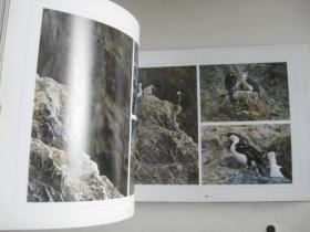 向极地进发南极及巴塔哥尼亚冯敏如摄影作品集（附8张卡   精装16开摄影画册