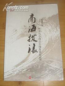 商海拨浪:义乌小商品市场发展探索