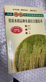 优质水稻品种及栽培关键技术（彩插版）