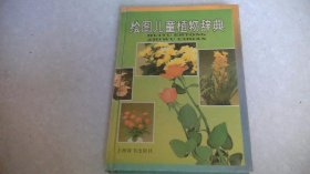 绘图儿童植物辞典