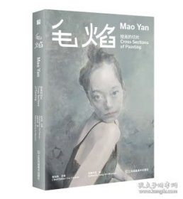 绘画的切片：毛焰作品集