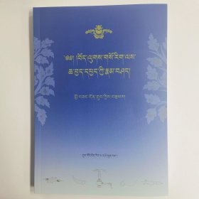 藏医外治理论与实践研究（藏文）