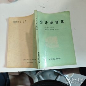 會計電算化