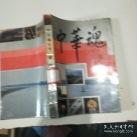 中華魂叢書愛國卷
