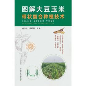 图解大豆玉米带状复合种植技术