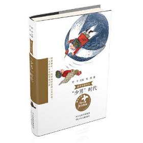 童年中国书系4—“少男”时代