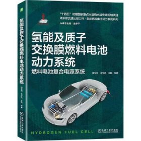 氢能及质子交换膜燃料电池动力系统   魏学哲 王学远 王超  等