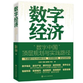 数字经济：“数字中国”顶层规划与实践路径