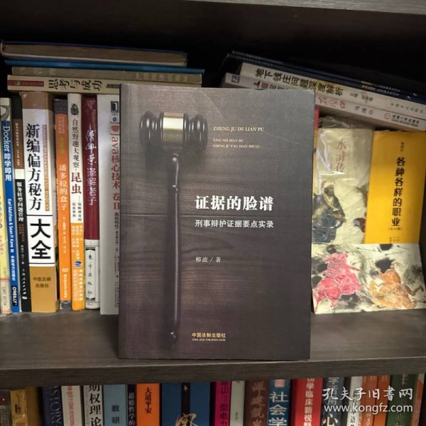 证据的脸谱 刑事辩护证据要点实录