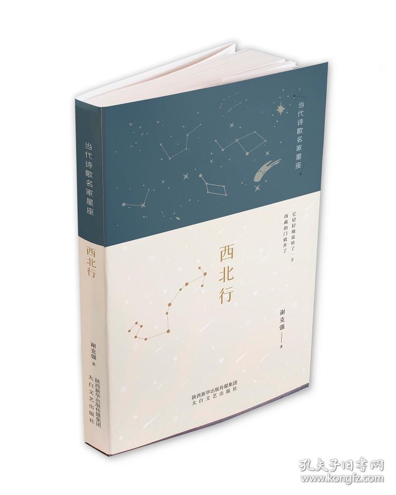 当代诗歌名家星座： 西北行