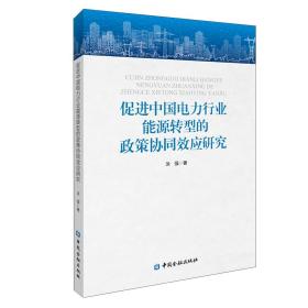 促进中国电力行业能源转型的政策协同效应研究