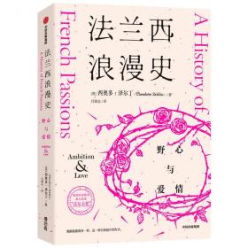 法兰西浪漫史 野心与爱情 西奥多·泽尔丁 著 沃尔夫奖作者 法国文化入门优质读物