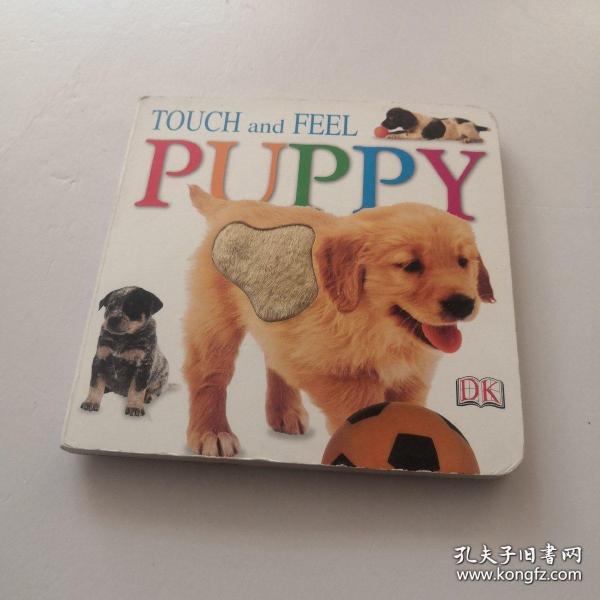 Baby Touch and Feel: Puppy  小狗