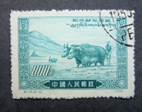 邮票   纪13 和平解放西藏  4-2 西藏农民用牦牛生产  右上戳盖销  1952年