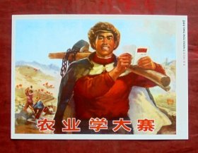 明信片   农业学大寨  宣传画明信片