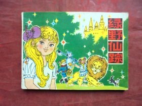 连环画    绿野仙踪   高宝生绘 天津人民美术出版社 1982年