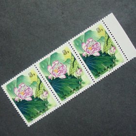 邮票，T54荷花，4-2 碧绛雪8分，三连带右边  全新10品 1980年