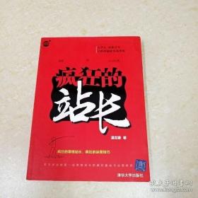 疯狂的站长（大学生.待业青年互联网创业实战指南）