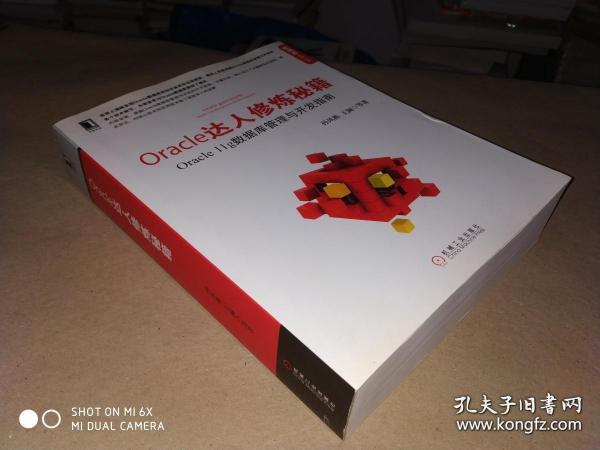 Oracle达人修炼秘籍：Oracle 11g数据库管理与开发指南