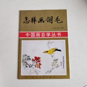 怎样画翎毛