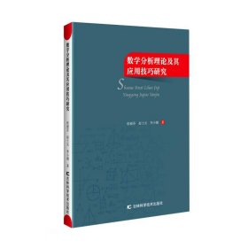 （专业）数学分析理论及其应用技巧研究