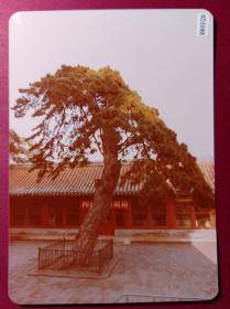 【老照片16】《八十年代北京城市风光》原版彩色5寸老照片一张，保存好，八十年代老照片