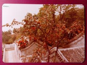 【老照片3】《八十年代北京城市风光》原版彩色5寸老照片一张，保存好，八十年代老照片
