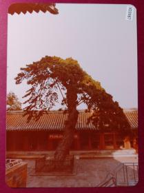 【老照片17】《八十年代北京城市风光》原版彩色5寸老照片一张，保存好，八十年代老照片