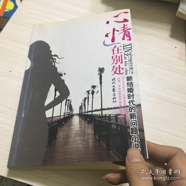 新结婚时代的新问题小说：心情在别处