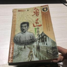 鲁迅作品选：小说·散文集 论文·杂文集