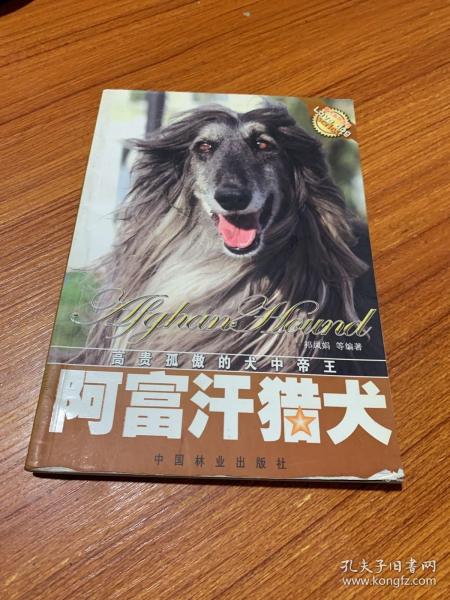 阿富汗猎犬