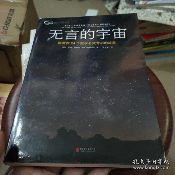 无言的宇宙：隐藏在24个数学公式背后的故事