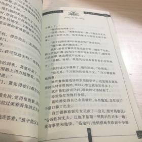 青少年文学修养速读本 中外文学作品赏析 珍妮姑娘