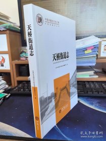 天桥街道志（中国名镇志丛书）