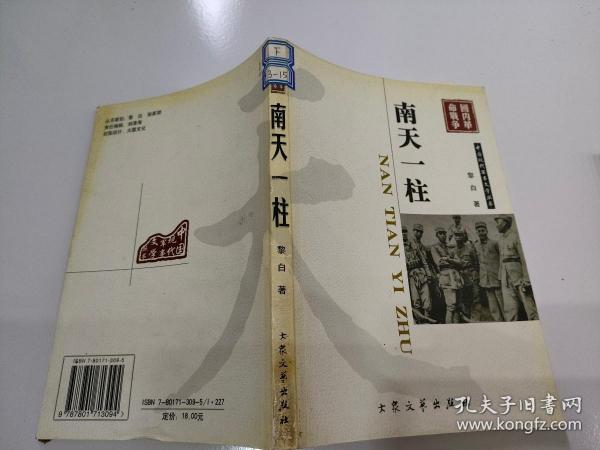 中国现代军事文学丛书·国内革命战争：南天一柱