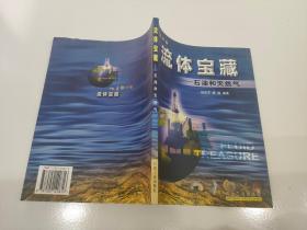 流体宝藏:石油和天然气