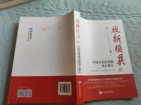 拔新领异 中国企业新领袖成长报告