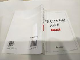 中华人民共和国民法典（大字条旨版）2020年6月