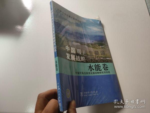 中国可再生能源发展战略研究丛书：水能卷