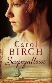 Scapegallows绞刑柱，卡罗尔?伯奇作品，英文原版