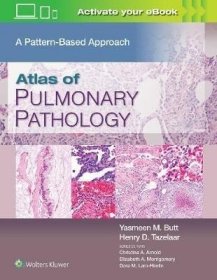 预订 Pulmonary Pathology : A Pattern Based Approach肺部病理学，英文原版