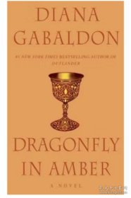 Dragonfly in Amber