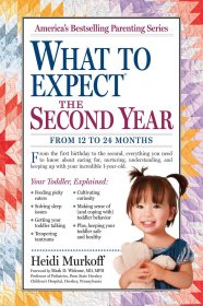 What to Expect the Second Year: From 12 to 24 Months，海蒂育儿大百科(1-2岁)，英文原版