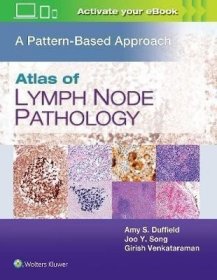 预订 Lymph Node Pathology : A Pattern Based Approach淋巴结病理学，英文原版
