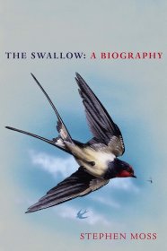 The Swallow: A Biography，燕子，英文原版