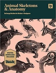 预订 Animal Skeletons and Anatomy，插图版，英文原版