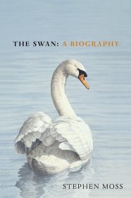 The Swan: A Biography，天鹅，英文原版