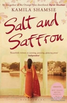 Salt and Saffron贵与贫，2018年百利小说奖得主、卡米拉·夏姆斯作品，英文原版